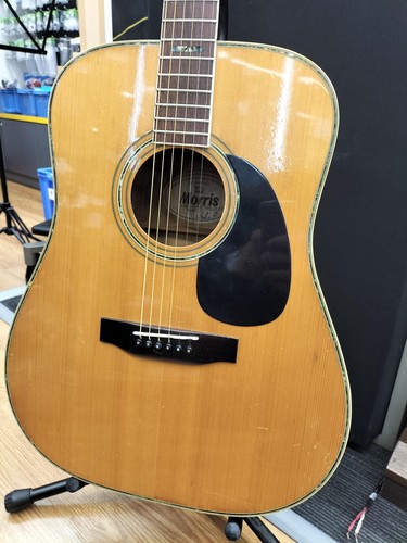 Chitarra acustica morris 40 - acustica, w-40