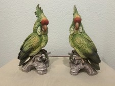 Cacatua Andrea di Sadek