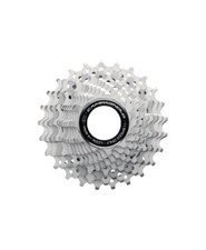 PACCO PIGNONI CAMPAGNOLO