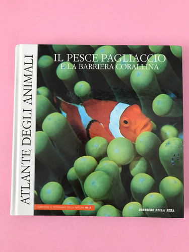 Pesce pagliaccio la - il,