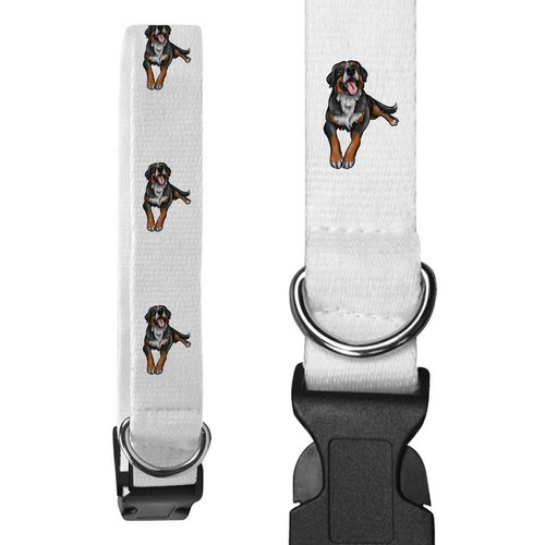 Collari per cani bernese - collari,