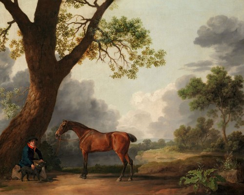 Quadro vintage cavallo con