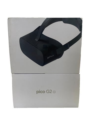 Pico visore realta - pico, g2
