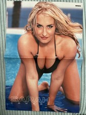 Sarah Connor & Usher A3 Poster