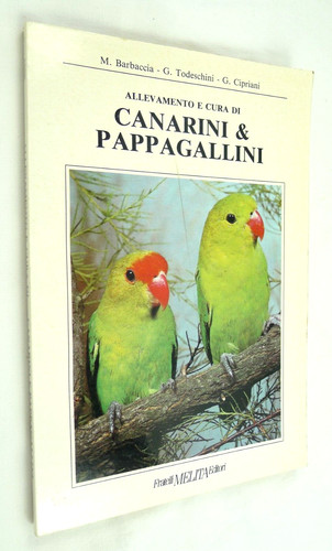 Allevamento canarini - canarini, e