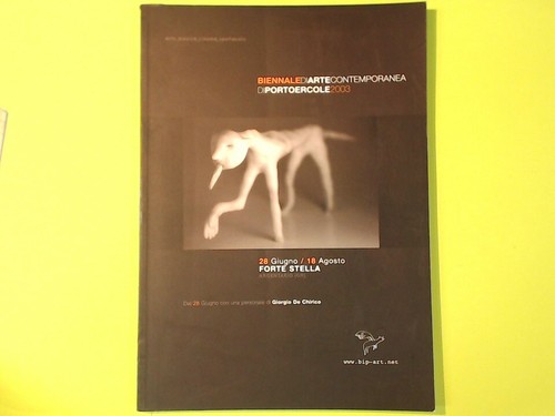 Biennale arte contemporanea - biennale,
