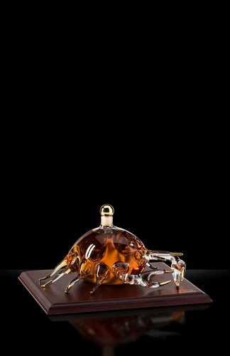 Grappa bonollo - grappa,