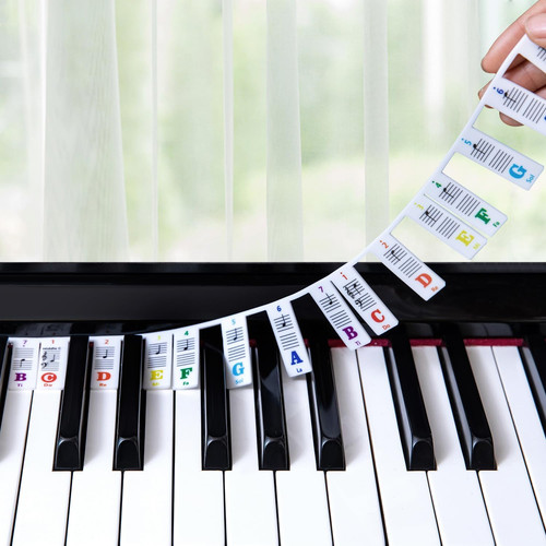 Guida alle note del pianoforte - guida,