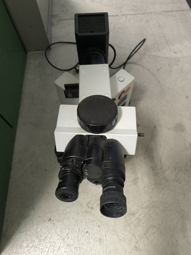 Microscope olympus 51 - bx,