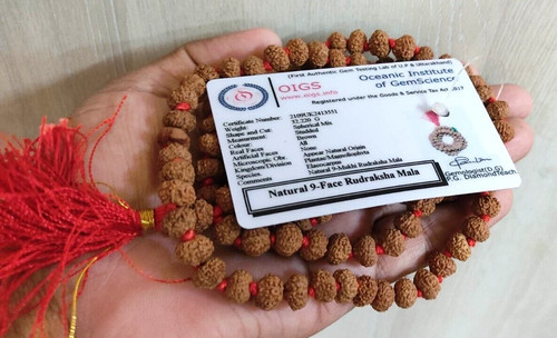 Perline mukhi rudraksha mala - perline,