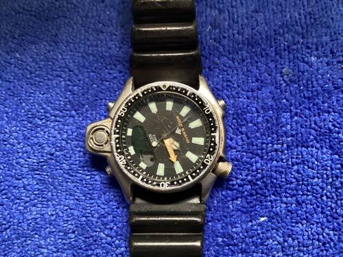 Raro citizen promaster - come, da