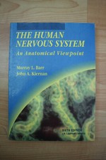 The Human Nervous System: An