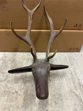 Trofeo vintage coppia corna di