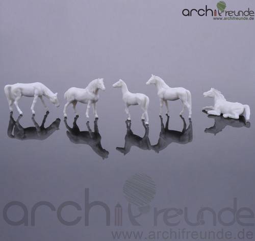Modello cavallo bianco - cavallo,,