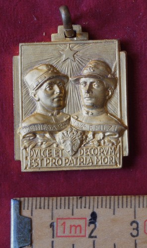 Medaglia alpini damiano chiesa - medaglia,
