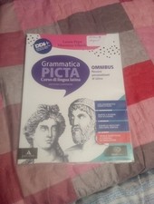 Grammatica Picta Corso Di