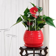  4 Pezzi Accessori Giardino