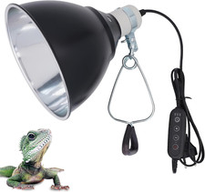 Rettile Protezione Lampada