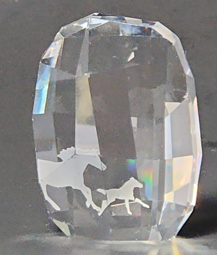 Swarovski crystal scs rinnovo - crystal,