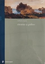 Ritorno a Pitloo Causa, Stefano