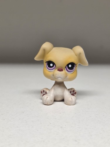 Hasbro littlest pet - littlest, #