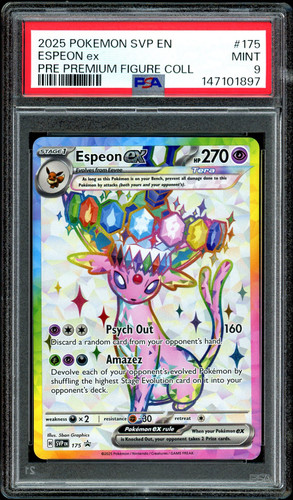 2025 pokemon svp - pokemon, black