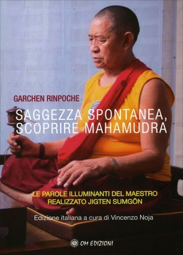 Libro saggezza spontanea - libro,