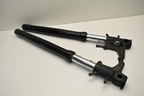 Ammortizzatore forcella