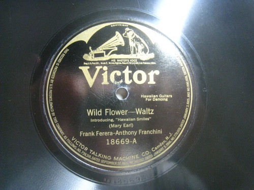Ferera franchini wild - wild, /