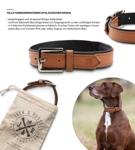 Jack russell premium - jack,