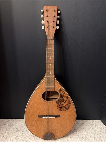 Mandolino posteriore piatto