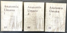 MEDICINA ANATOMIA UMANA AA.VV