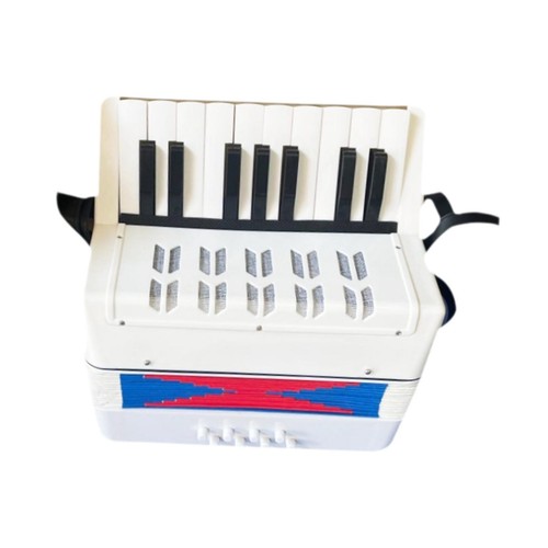 Fisarmonica robusta leggera - e,