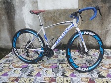 Urban commuter Helliott,ricodizionata,tg. M,21 velocitá, Freni a  disco.