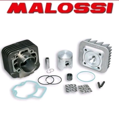 316926 gruppo termico malossi - gruppo,