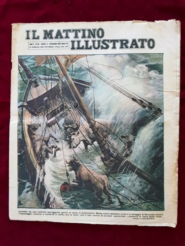 Magazine rivista mattino - rivista, il