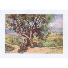 ROMA Campagna Romana da Tivoli - Stampa antica 1905 di Alberto Pisa