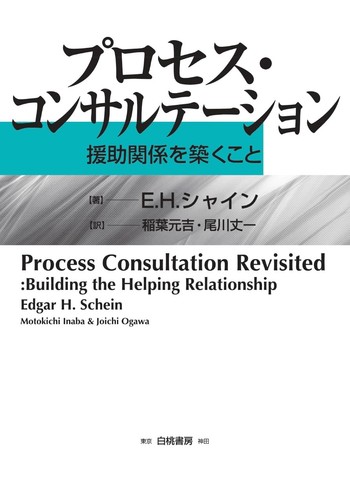 Process consultation