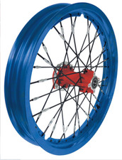 Cerchio POSTERIORE BLU