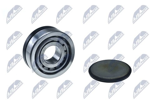 Kit revisione sfere ponte - revisione,
