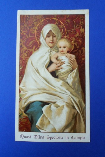 Santino holycard madonna - holycard,