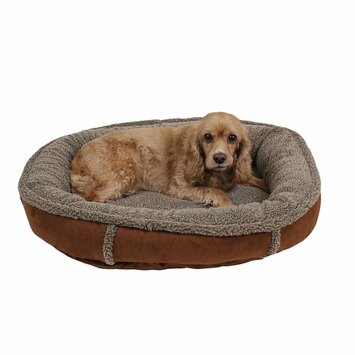 Cuccia comoda per cani - ,