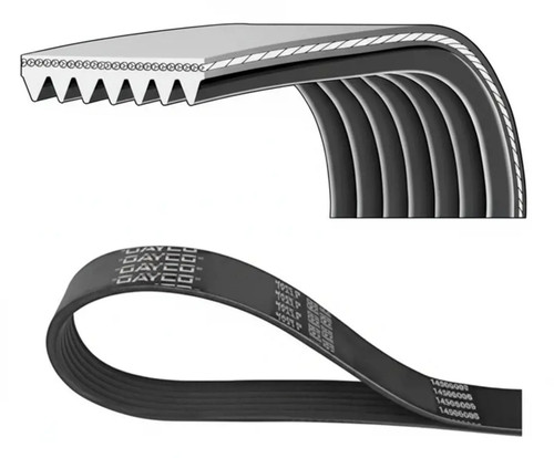 Cinghia trapezoidale