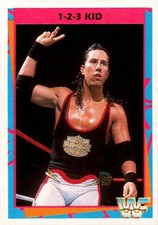 1995 WWF Merlin - 1-2-3 Kid