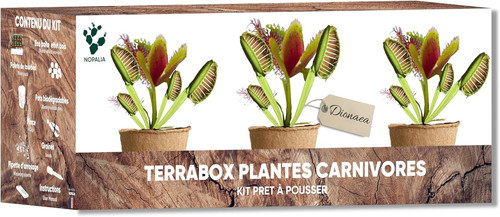 Kit piante carnivore - piante, –