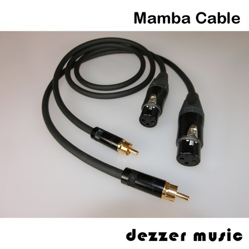 Cavo adattatore - 2x, 1m