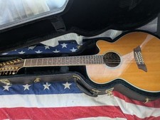 Takamine PTU111-12VN elettrico