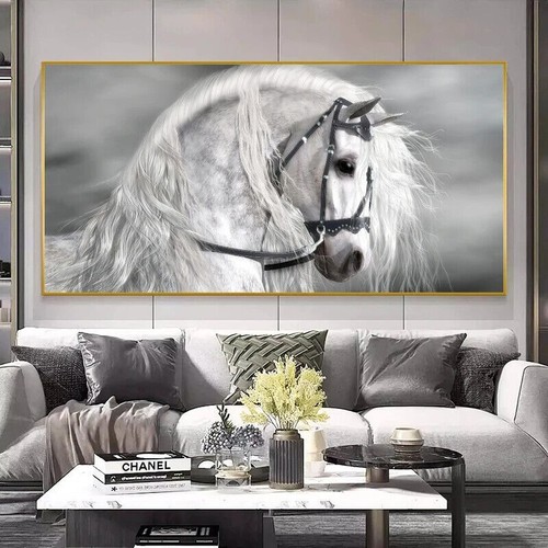Quadro cavallo bianco stampe - bianco,