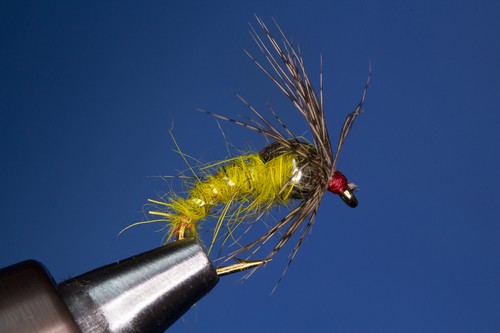 Fliegentom nymph pezzi - pezzi, hoyl