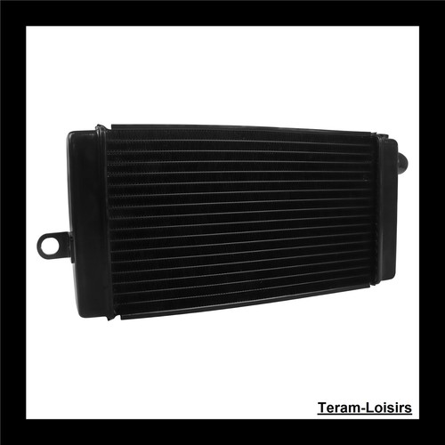 Radiatore per honda shadow - radiatore,